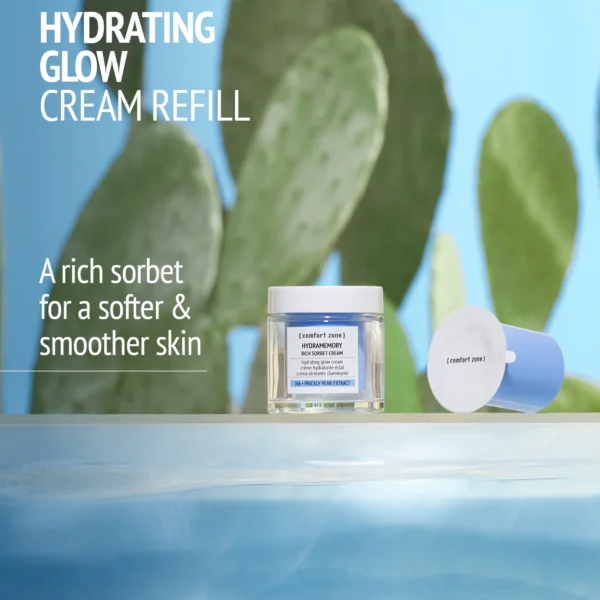 Refill rich sorbet cream 50ml HYDRAMEMORY – Image 2